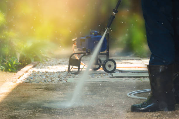 Best Rust Removal  in Port Richey, FL